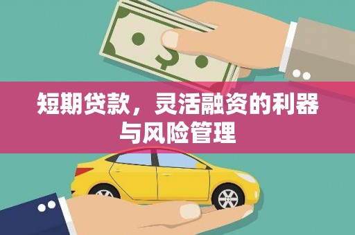 灯塔短期贷款，灵活融资的利器与风险管理