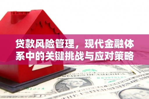 灯塔贷款风险管理，现代金融体系中的关键挑战与应对策略